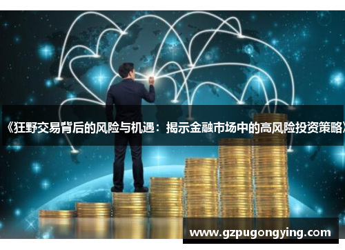 《狂野交易背后的风险与机遇：揭示金融市场中的高风险投资策略》